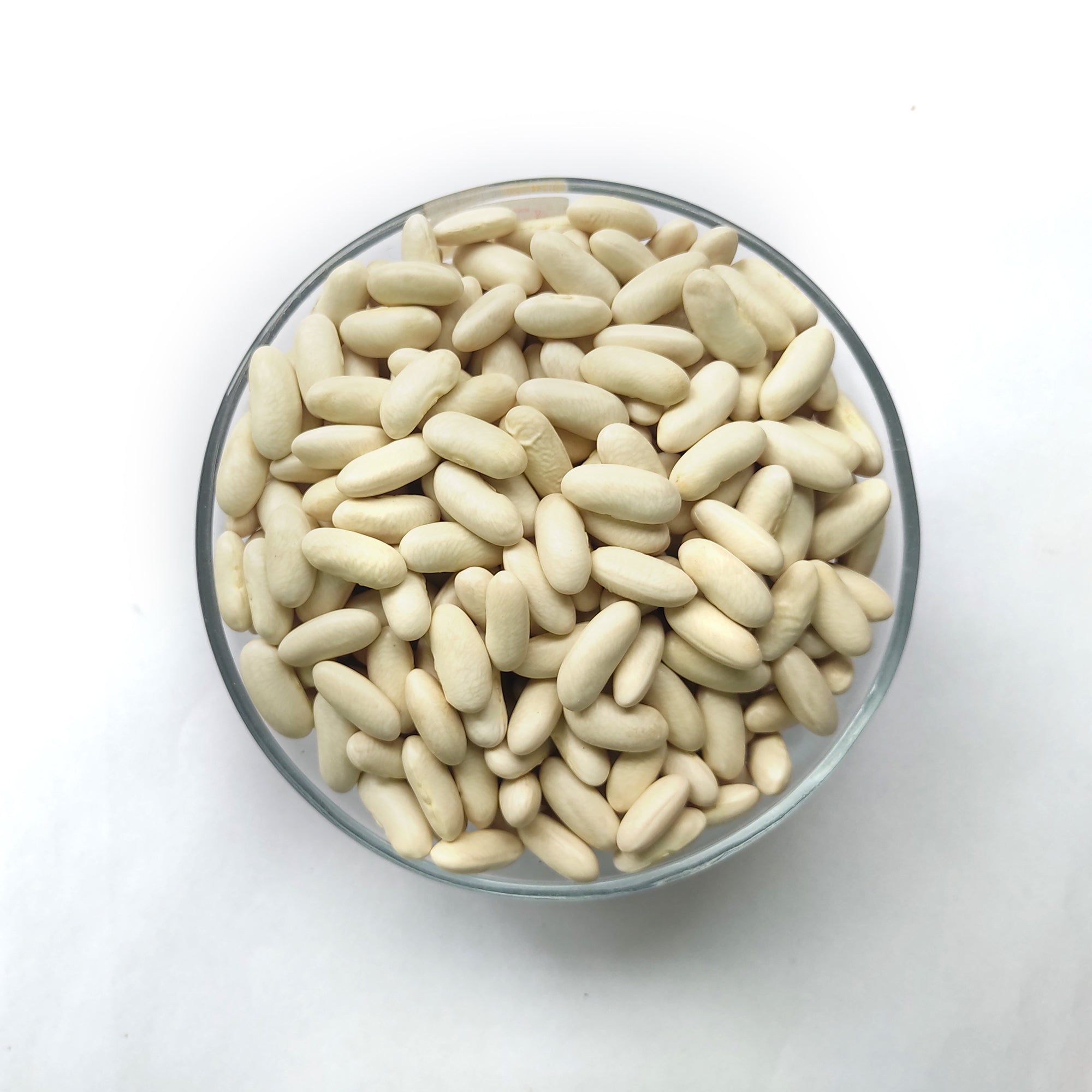 Kidney Beans – White রাজমা- সাদা