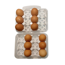 Premium Plastic Egg Box 12 pcs slot