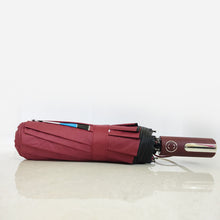 BMW 12 Sticks Auto Open and Auto Close Super Strong Umbrella 12 ribs