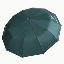 BMW 12 Sticks Auto Open and Auto Close Super Strong Umbrella 12 ribs