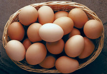 Chicken Eggs Layer 12 pcs