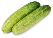 Shosha (Cucumber)