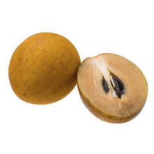 Sofeda (Sapodilla)