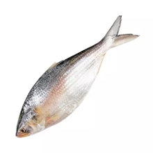 Whole Hilsha Fish (Asto Ilish) 900 gm ± 50 gm